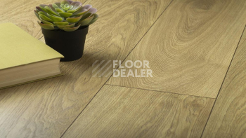 Kronopol Aurum Volo Aqua Zero 4577 Дуб Hawk фото 2 | FLOORDEALER